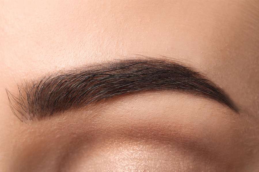 eyebrow transplant